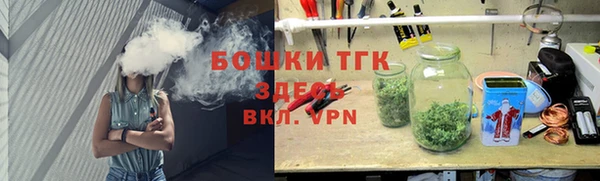 хмурый Ветлуга